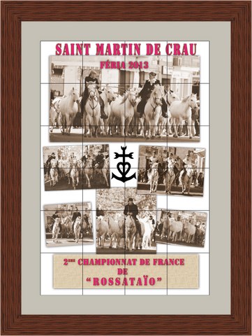 trophée 2013 - saint martin de crau