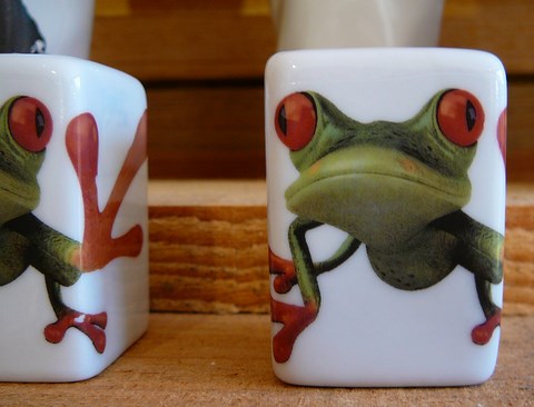 vaisselle "sel et poivre" grenouilles